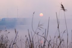 图集｜凉水河（北京经开区段）日出美景迎接2024年！