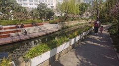 水质达标就是好?老百姓有不同看法,上海将用3年创建80个水美村庄或社区