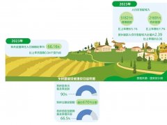 统筹新型城镇化和乡村全面振兴