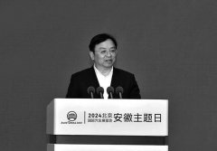 王传福：比亚迪将加大在安徽投资