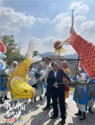 驻华使节:大足石刻之美令人震撼