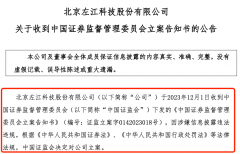 深夜突发！证监会出手：立案调查！最强“妖股”栽